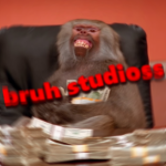 Bruh Studioss