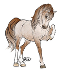 Matschi's Ponys