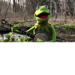 Kermit's Counters