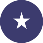 Whitelist CodeX