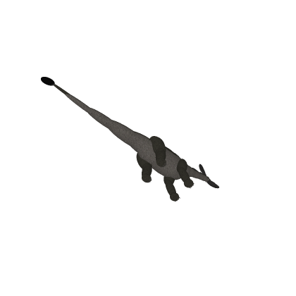 elephant ########