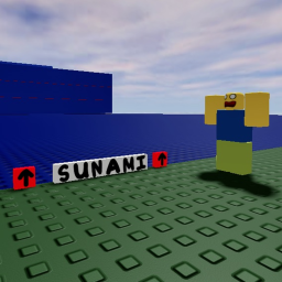 Sunami Survival