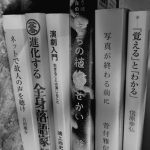 lostoverjapan
