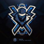 Ninja_Gamer
