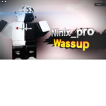 TheNinixGroup