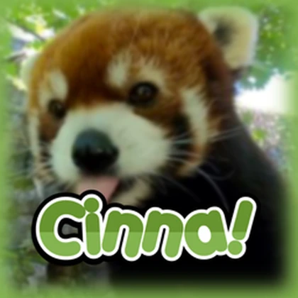 cinnamon ツ Roblox group icon