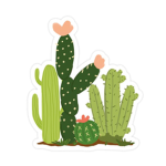 The Cacti Group
