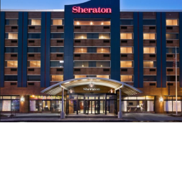 Sheraton Hotels and Water park!