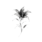 花 | Bloom