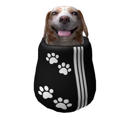 Dog in a Bag