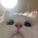 誰でも来ていいグループ
