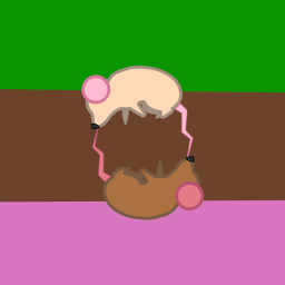 .+* The Mouse Army DOnation Place *+.
