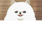 MRDOG YT GROUP
