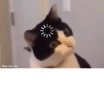 Natuska99999999