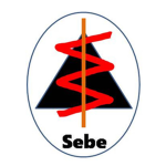 SebePlayz Fan group