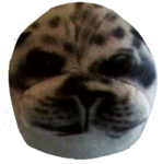 Chonke seal group
