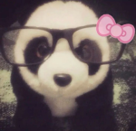! BAMBOO !