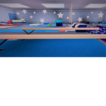 Gymnastics fan group 1