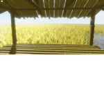 Die for the rice