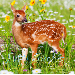 Sweet animals!!!!!!!!!