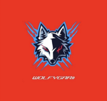 WOLFYGARII GROUP