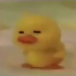 Ducks bestie