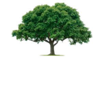 #tree_army