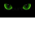The pet who speaks in EYES