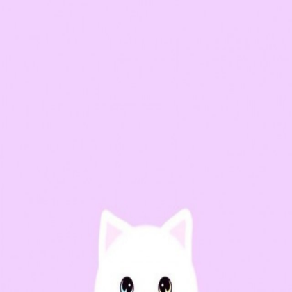 light pink background // cute white cat <3 Roblox decal