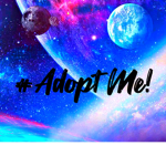 #Adopt me!