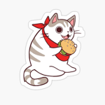 Kitten Klothin’