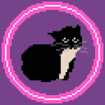 Cubic-Cat Studio
