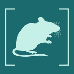 -HRE- Holy Rat Empire