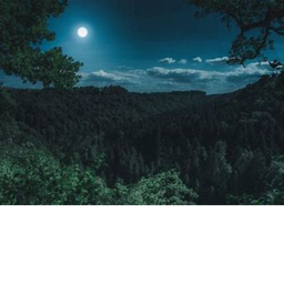 terraform