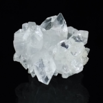 The rock and minerals club