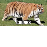 Chunks Forever