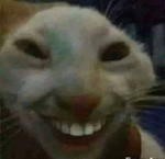 125683