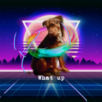 Vibe_chill_hi