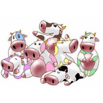 Cow Squad :))