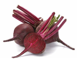 The Shrine Of Root