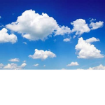 +~Cloud Clan~+