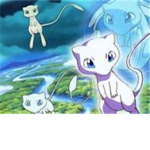 Mews