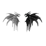 Dragon Wings Black & White