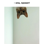 Элитная группа