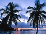 ocean help