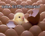 fortnite tam joga