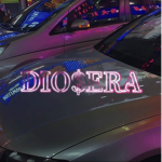 DIO$ERA