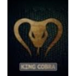 King Cobra/코브라