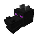 The Group to beat the Ender Dragon!