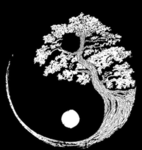 Yin Yang GNG